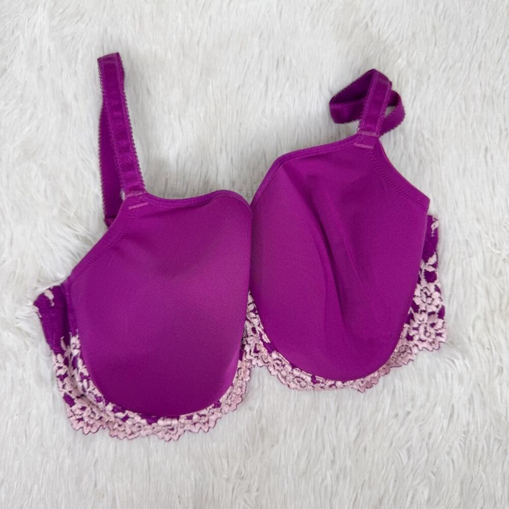 WACOAL / Embrace purple white lace push up bra / 38DDD